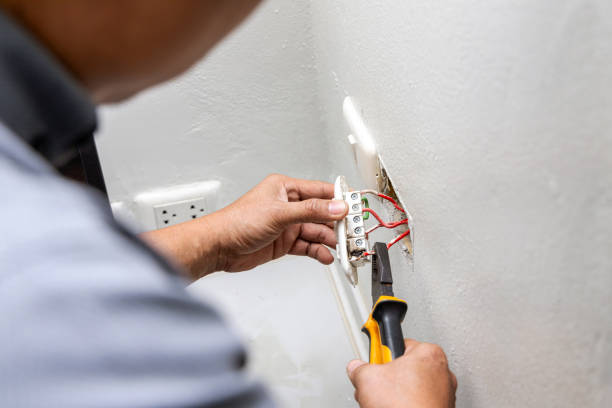 Best Electric Panel Repair  in Brinkley, AR